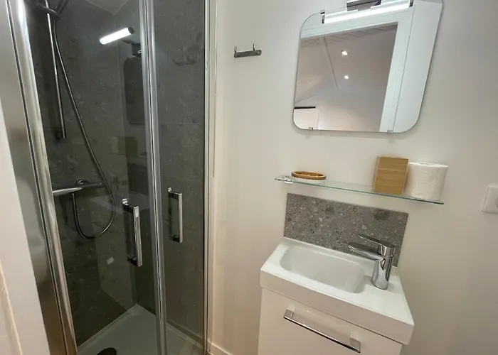 Avec Piscine Chauffee Proche Plage, Wifi, Billard Et Garage A - Fr-1-22-333